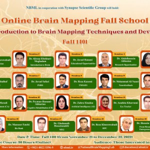 Online Brain Mapping Fall School